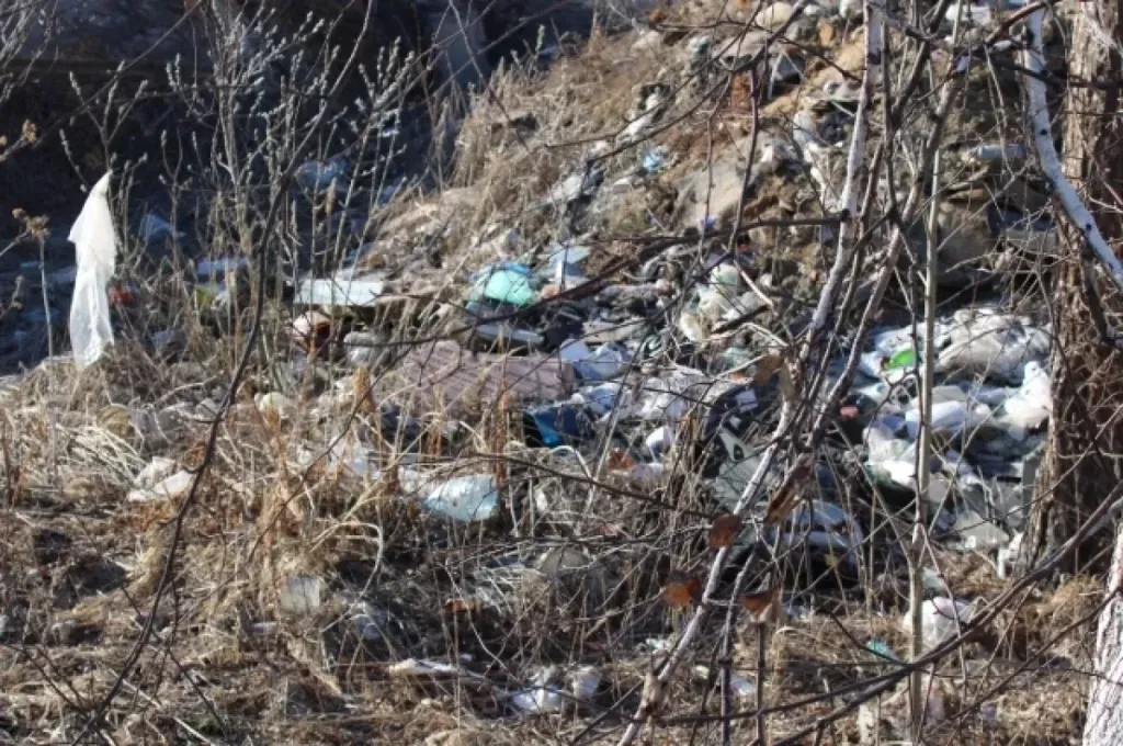 В Киреевском районе убрали свалку строительных отходов с сельхозземли