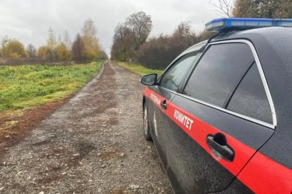 Туляк заключён под стражу за нападение с топором на собутыльника