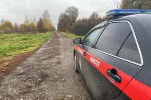 Туляк заключён под стражу за нападение с топором на собутыльника